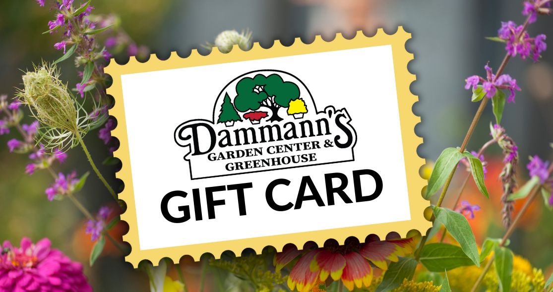 Gift Card - Image 4